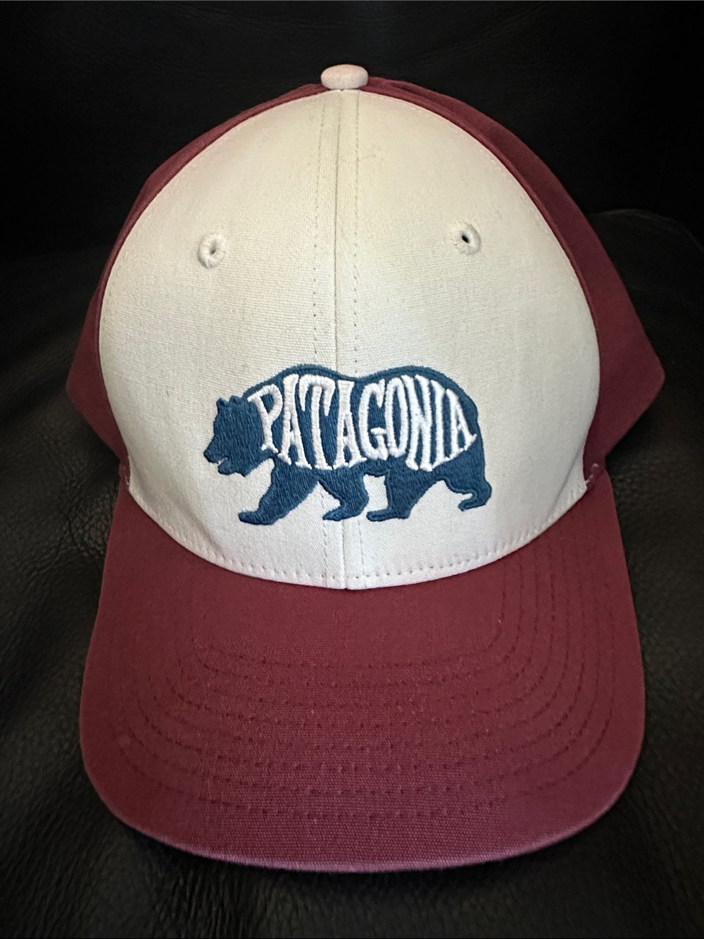 Patagonia Bear Heaven Roger That Hat